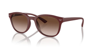 Emporio Armani EA4225U 610113 53