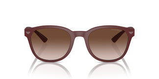 Emporio Armani EA4225U 610113 53