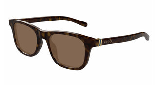 Gucci GG1671S 006 53