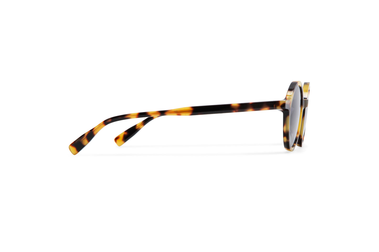 Gigi Studios OIA 2 45