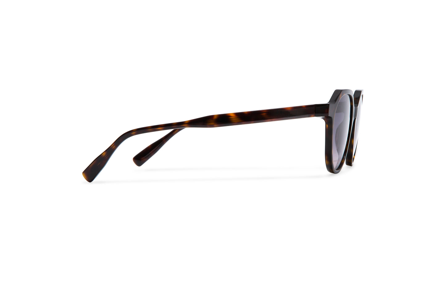 Gigi Studios SIENA 2 49