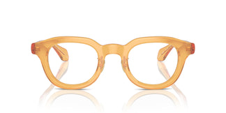 Giorgio Armani AR7253 6063 45