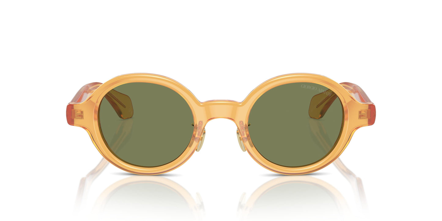 Giorgio Armani AR8205 60632A 46