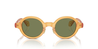 Giorgio Armani AR8205 60632A 46