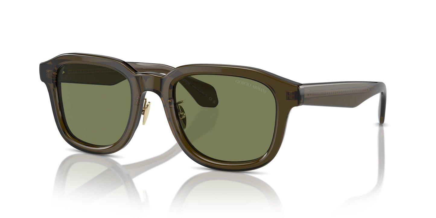 Giorgio Armani AR8206 60612A 50