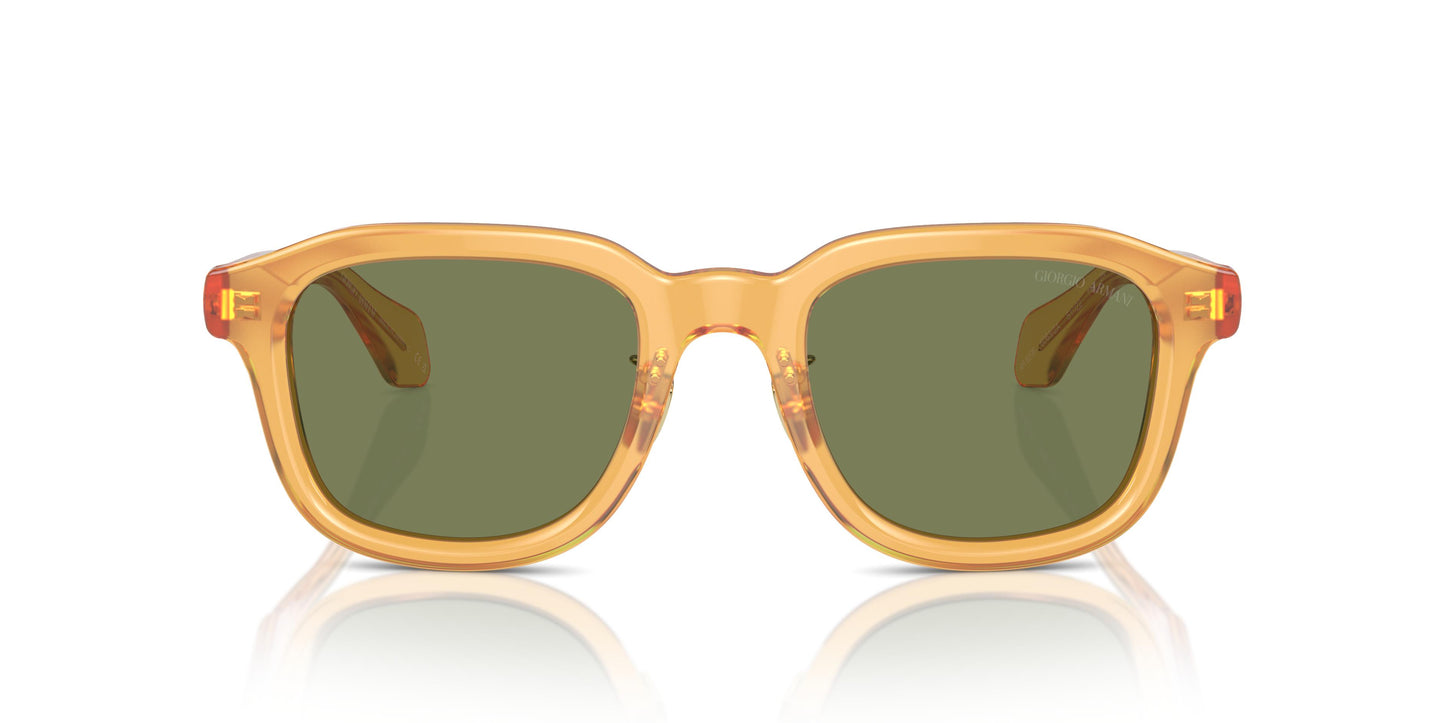 Giorgio Armani AR8206 60632A 50