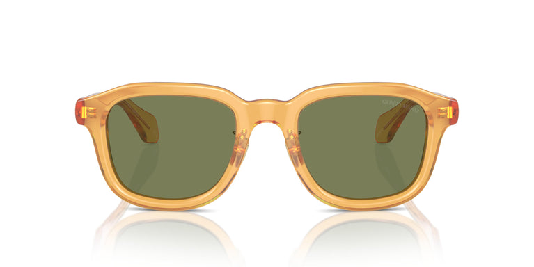 Giorgio Armani AR8206 60632A 50