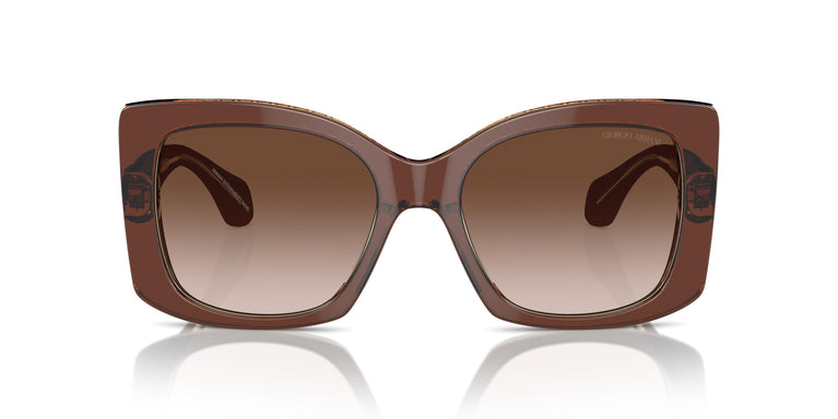 Giorgio Armani AR8208U 609013 55