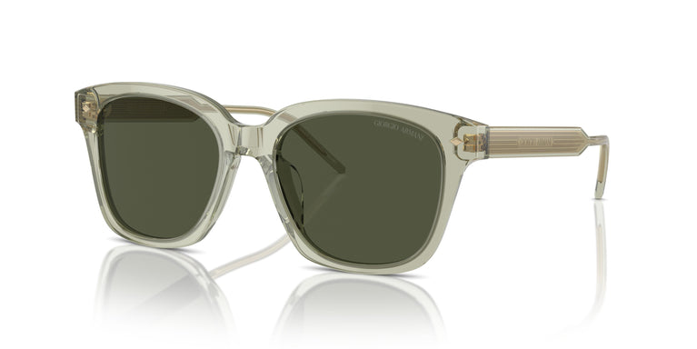 Giorgio Armani AR8210U 608331 52