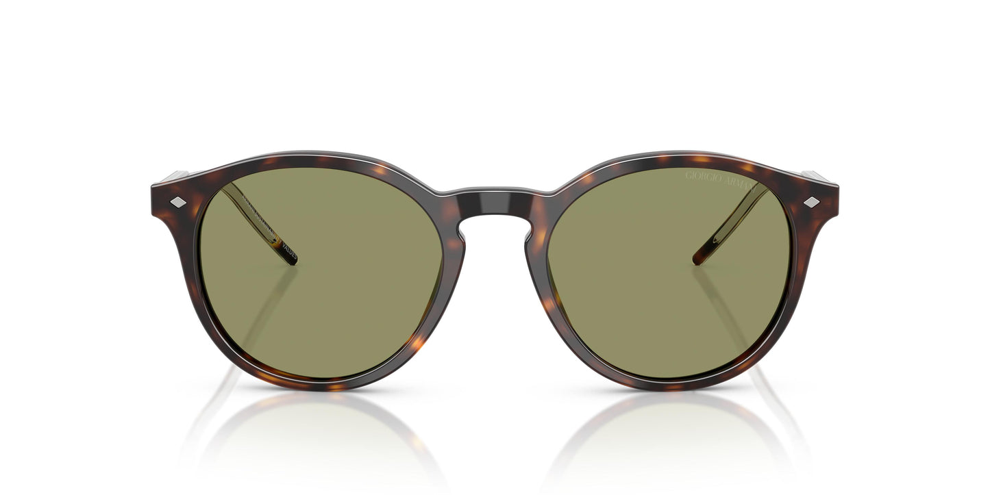 Giorgio Armani AR8211 587914 52