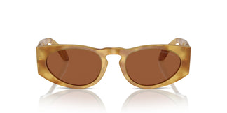 Giorgio Armani AR8216 597973 51