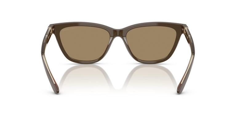 Giorgio Armani AR8221 595753 55