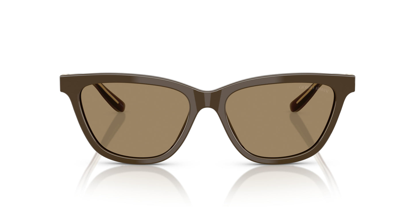 Giorgio Armani AR8221 595753 55