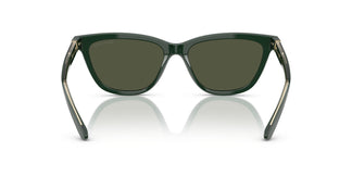 Giorgio Armani AR8221 617331 55