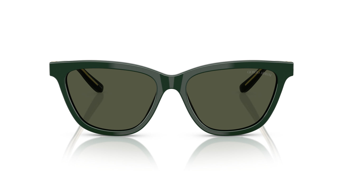 Giorgio Armani AR8221 617331 55