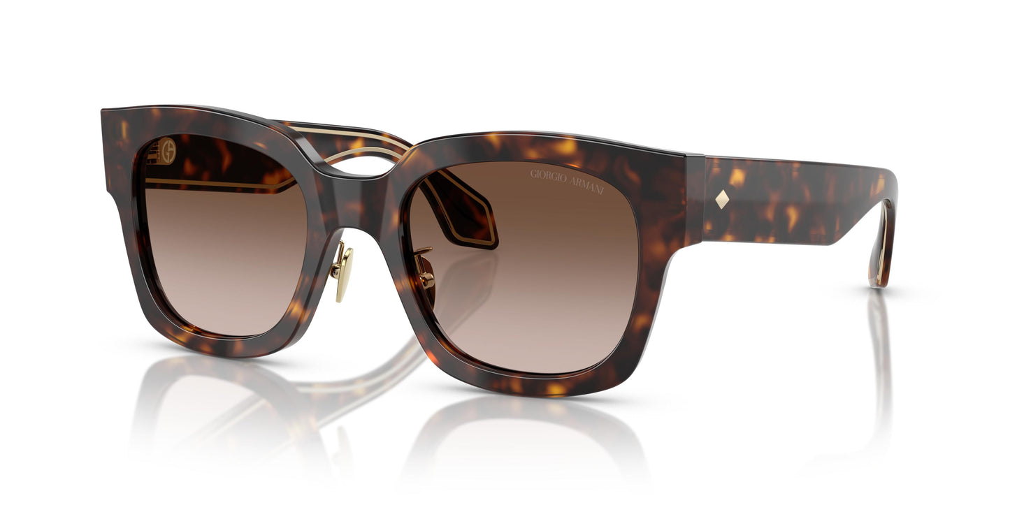 Giorgio Armani AR8223 502613 51