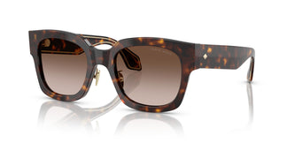 Giorgio Armani AR8223 502613 51