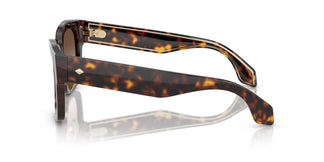 Giorgio Armani AR8223 502613 51