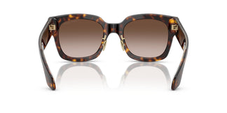 Giorgio Armani AR8223 502613 51