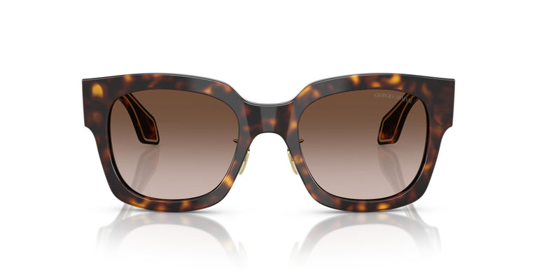 Giorgio Armani AR8223 502613 51