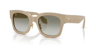 Giorgio Armani AR8223 61618E 51