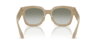 Giorgio Armani AR8223 61618E 51