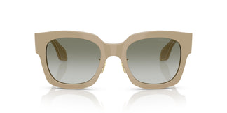 Giorgio Armani AR8223 61618E 51