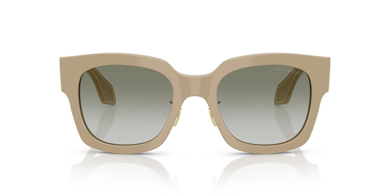 Giorgio Armani AR8223 61618E 51