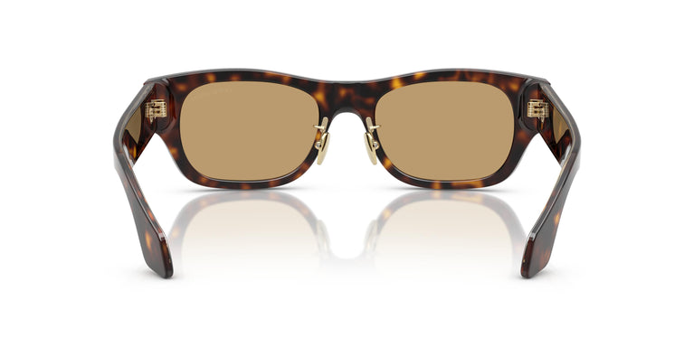 Giorgio Armani AR8224 502673 52