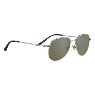 Serengeti HAYWOOD Shiny Light Gold 56
