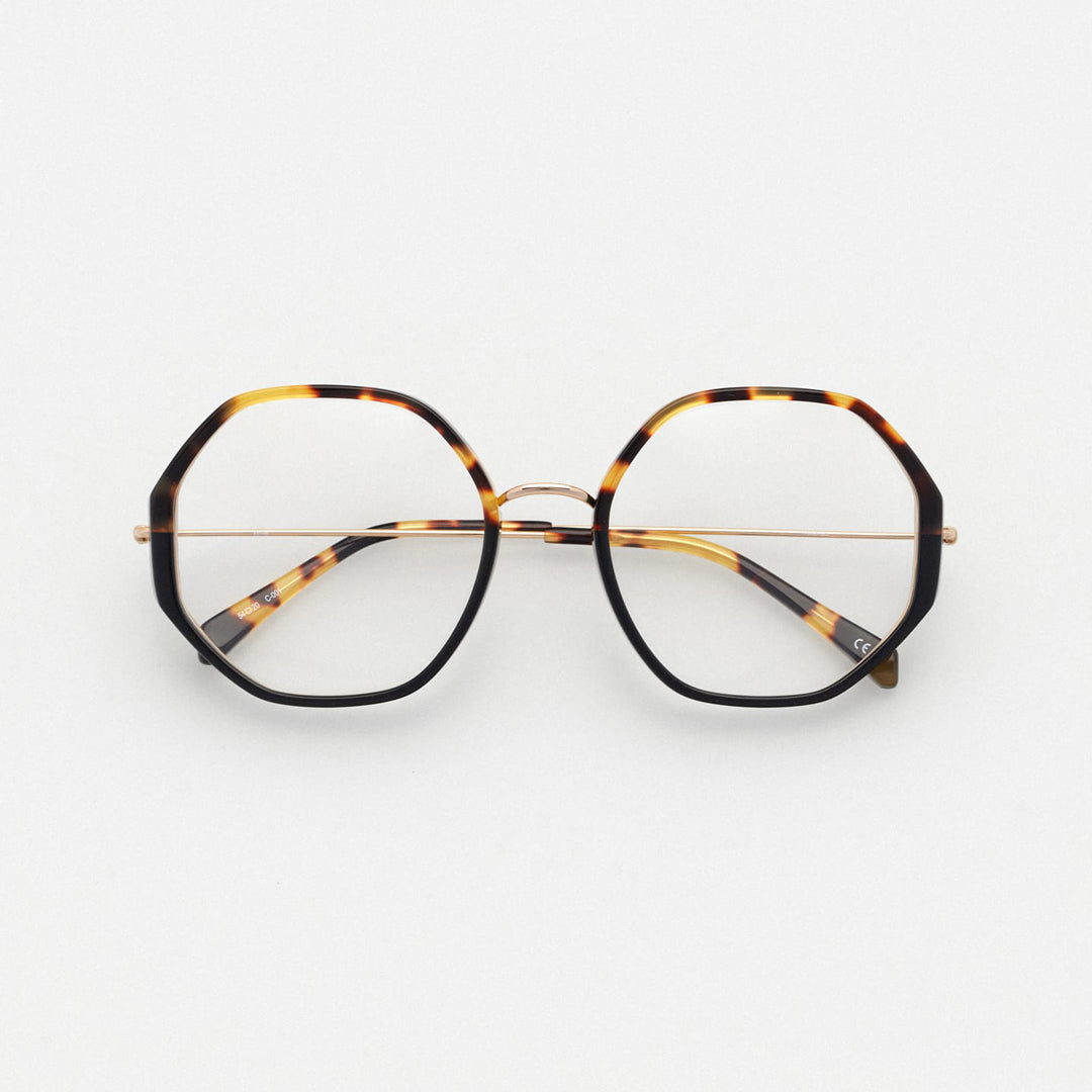 Kaleos Hollander 1  54