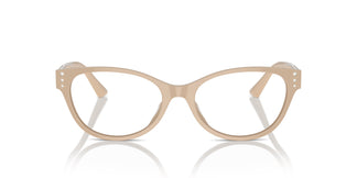 Jimmy Choo JC3003BU 5015 54