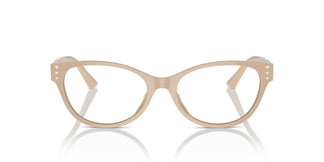 Jimmy Choo JC3003BU 5015 52