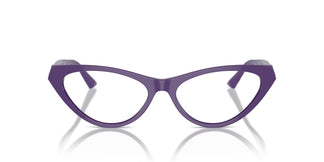 Jimmy Choo JC3005 5050 55
