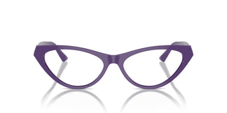 Jimmy Choo JC3005 5050 53