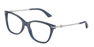 Jimmy Choo JC3007HB 5035 52