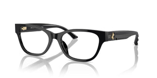 Jimmy Choo JC3010U 5000 52