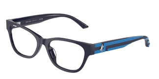Jimmy Choo JC3010U 5016 52