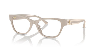 Jimmy Choo JC3010U 5033 54
