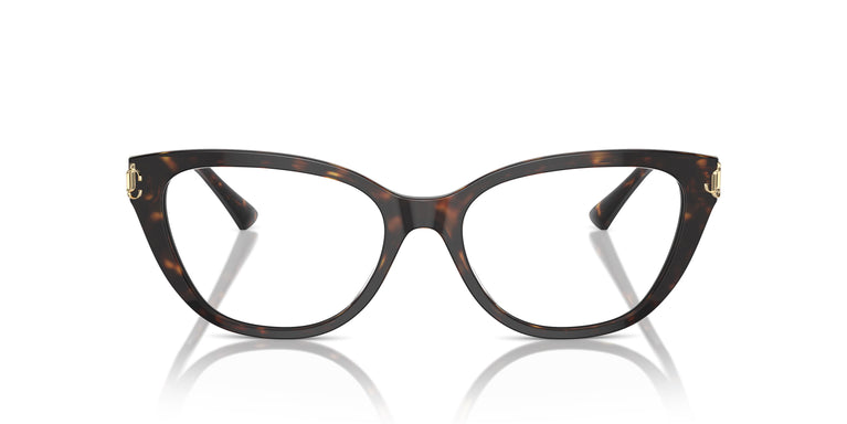 Jimmy Choo JC3011 5002 52