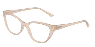 Jimmy Choo JC3011 5025 52