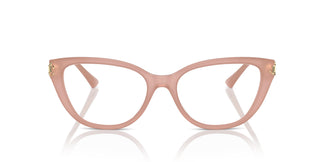 Jimmy Choo JC3011 5027 52