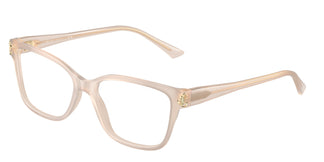 Jimmy Choo JC3012 5025 53
