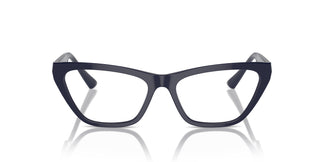 Jimmy Choo JC3014 5023 52