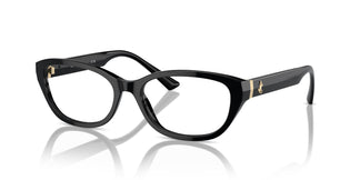 Jimmy Choo JC3015 5000 55