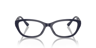 Jimmy Choo JC3015 5023 55