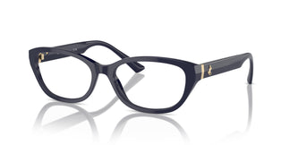 Jimmy Choo JC3015 5023 55