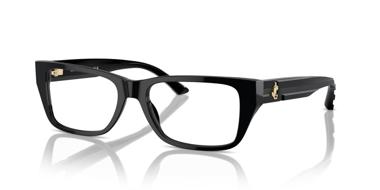 Jimmy Choo JC3016 5000 52