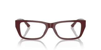 Jimmy Choo JC3016 5013 54