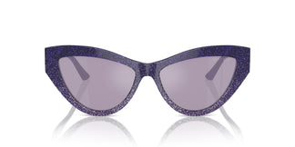 Jimmy Choo JC5004 50482S 55